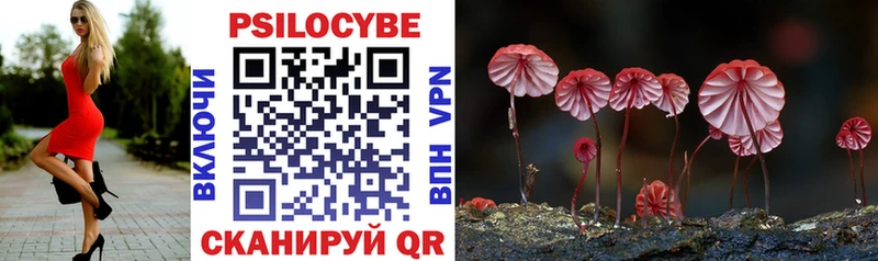 купить наркотик Красногорск MEGA ССЫЛКА Галлюциногенные грибы Psilocybine cubensis