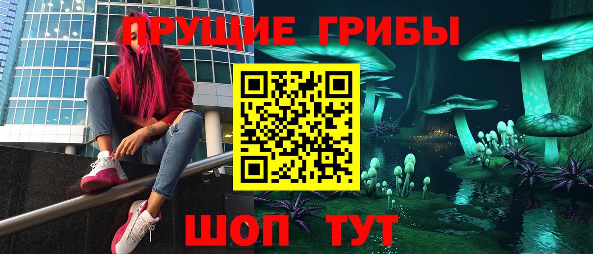 Галлюциногенные грибы Magic Shrooms  Псилоцибиновые грибы мицелий  купить   Вход с VPN  Красногорск 