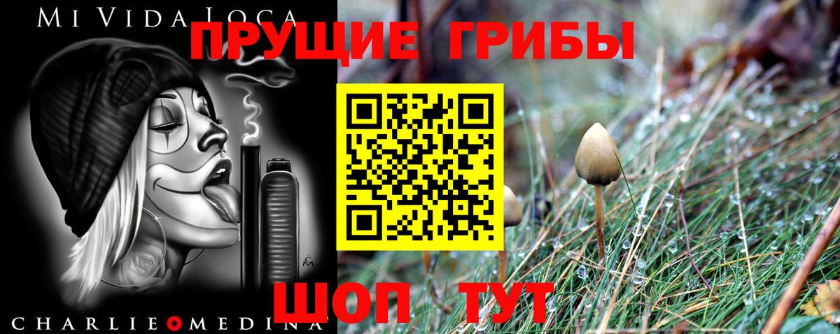 Галлюциногенные грибы мухоморы Красногорск